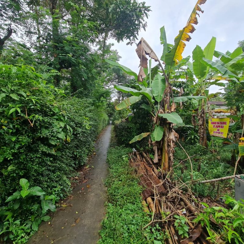 WhatsApp Image 2025-09-19 at 09.32.42 (1)