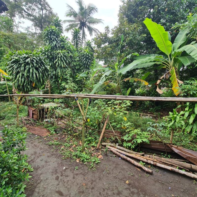 WhatsApp Image 2025-09-19 at 09.32.42 (2)