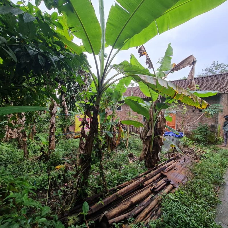 WhatsApp Image 2025-09-19 at 09.32.42 (3)