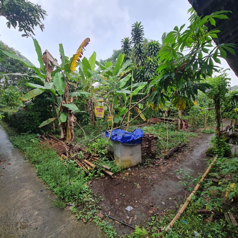 WhatsApp Image 2025-09-19 at 09.32.42 (4)