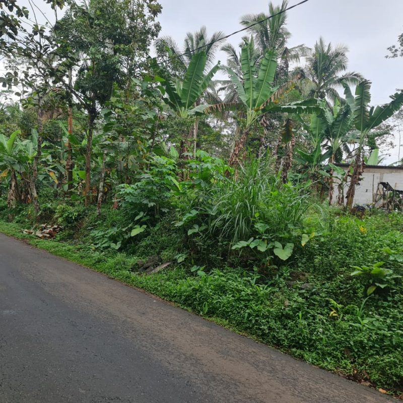 WhatsApp Image 2025-09-19 at 09.32.45 (2)