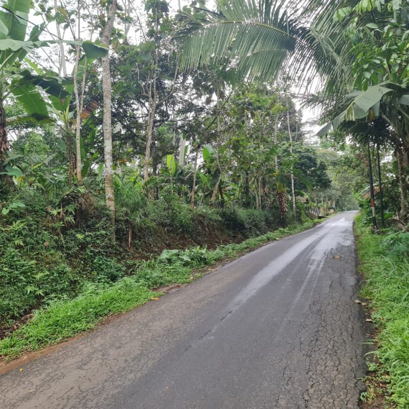 WhatsApp Image 2025-09-19 at 09.32.45 (3)