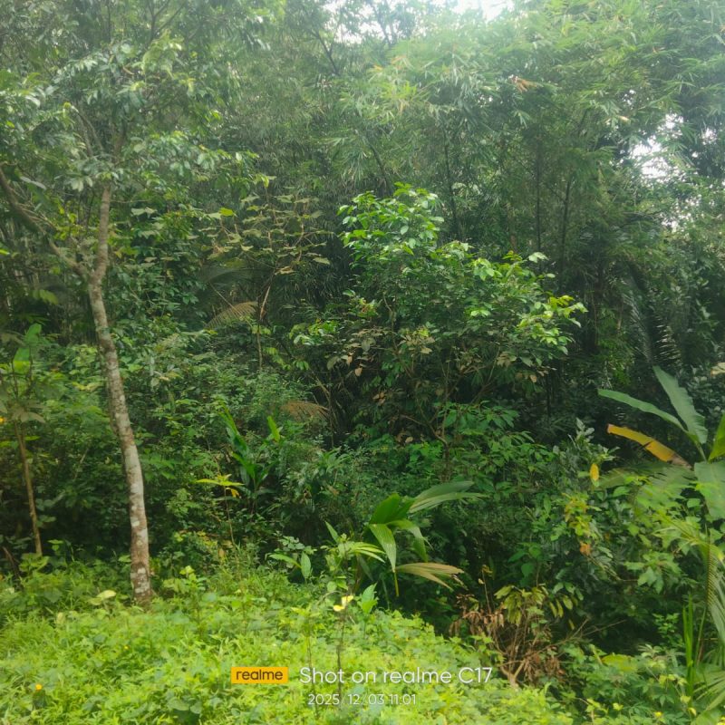 WhatsApp Image 2025-12-11 at 08.48.56 (1)