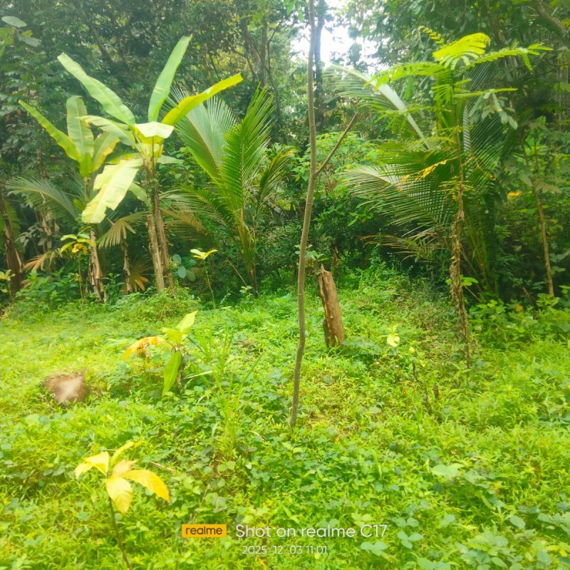 WhatsApp Image 2025-12-11 at 08.48.56