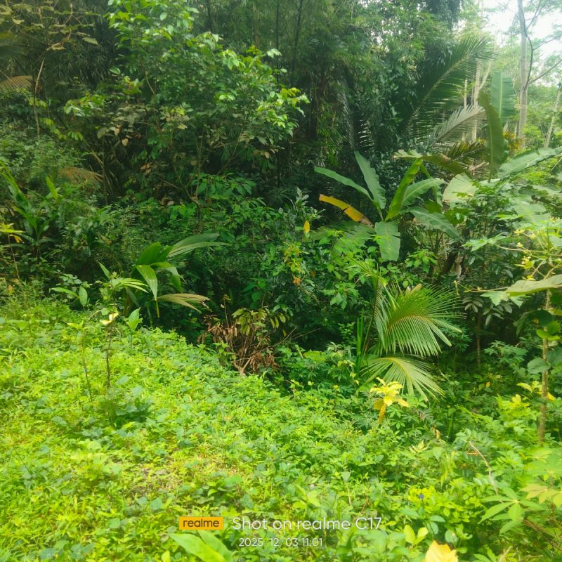 WhatsApp Image 2025-12-11 at 08.48.57 (1)