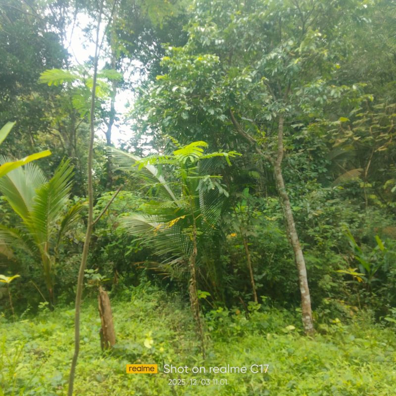 WhatsApp Image 2025-12-11 at 08.48.57