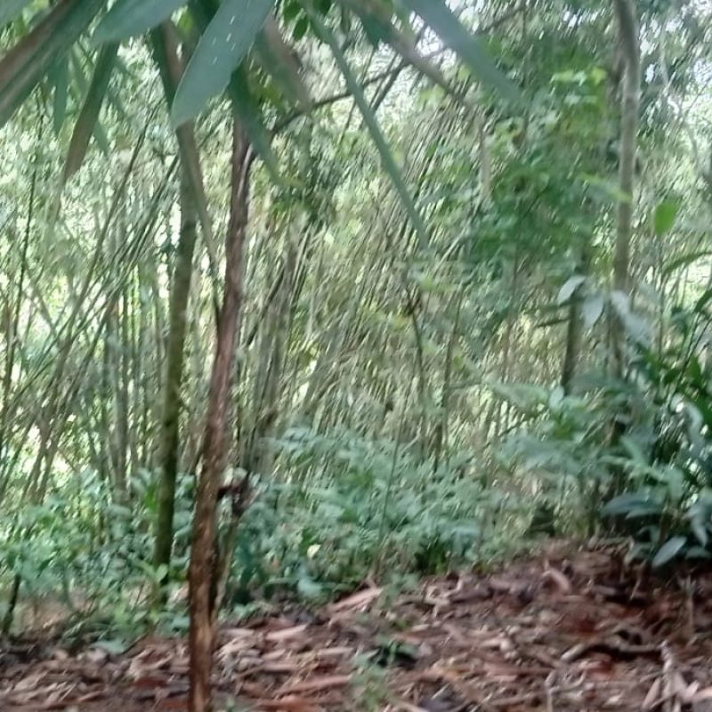 WhatsApp Image 2025-12-11 at 08.49.35