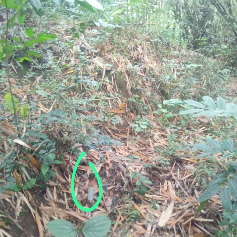 WhatsApp Image 2025-12-11 at 08.49.36 (1)