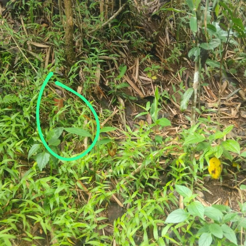 WhatsApp Image 2025-12-11 at 08.49.36