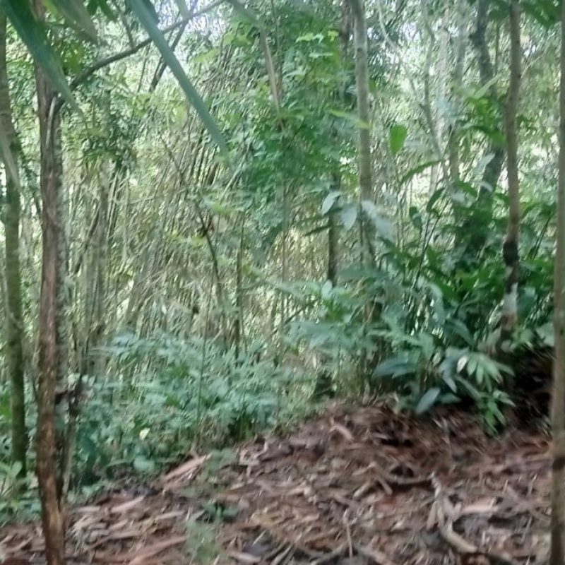 WhatsApp Image 2025-12-11 at 08.49.37 (1)