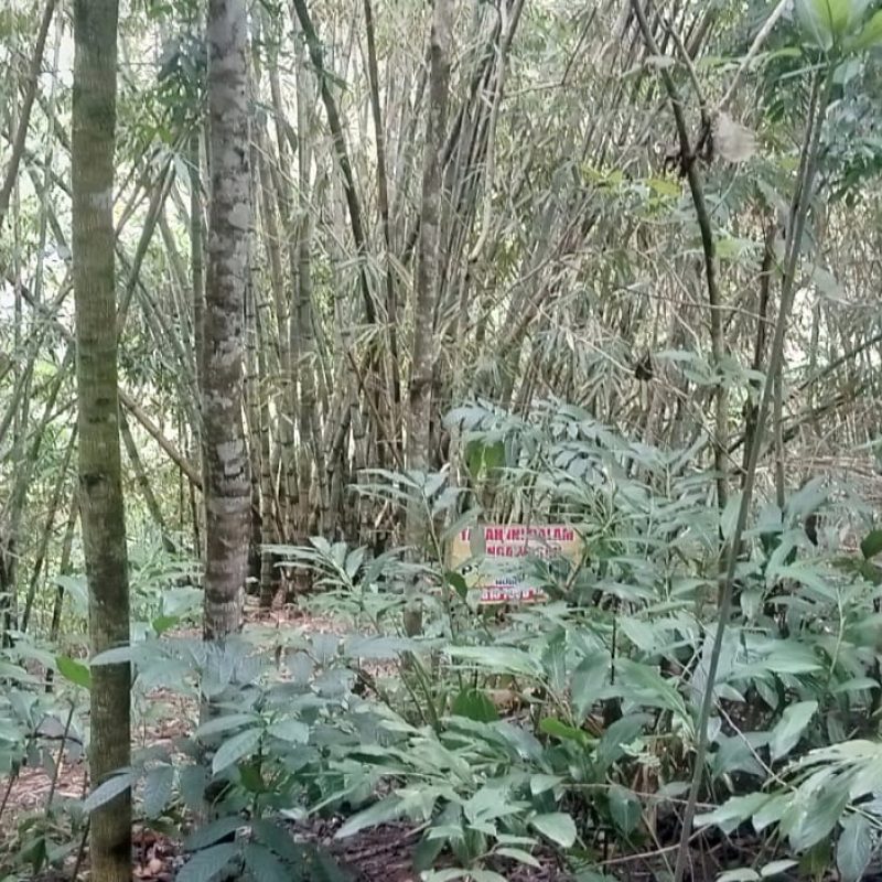 WhatsApp Image 2025-12-11 at 08.49.37