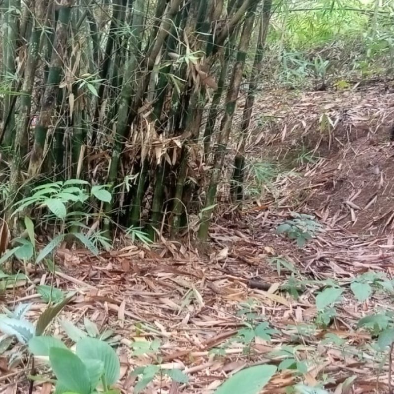 WhatsApp Image 2025-12-11 at 08.49.38 (1)