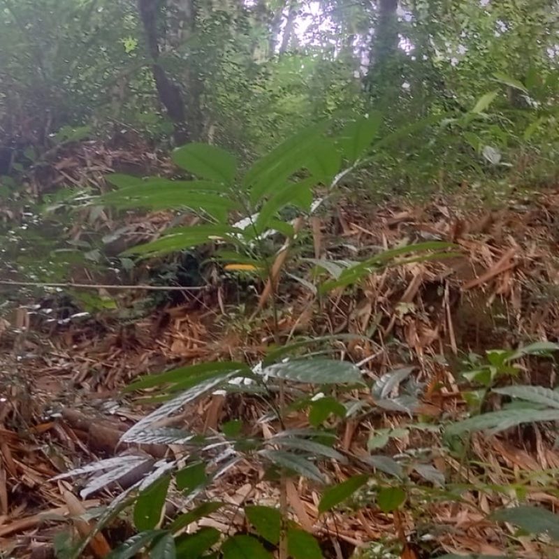 WhatsApp Image 2025-12-11 at 08.49.38 (2)