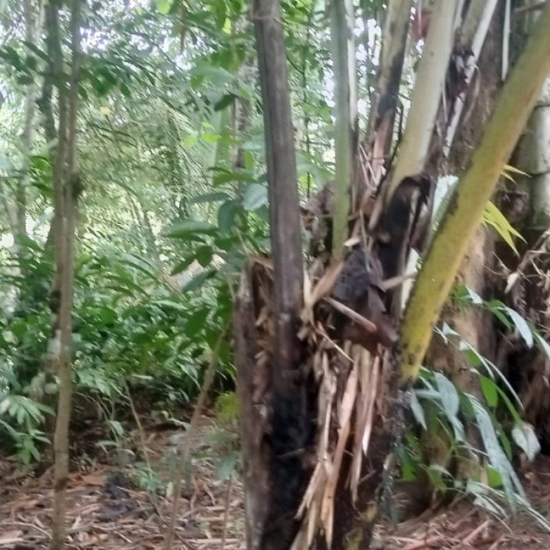 WhatsApp Image 2025-12-11 at 08.49.38