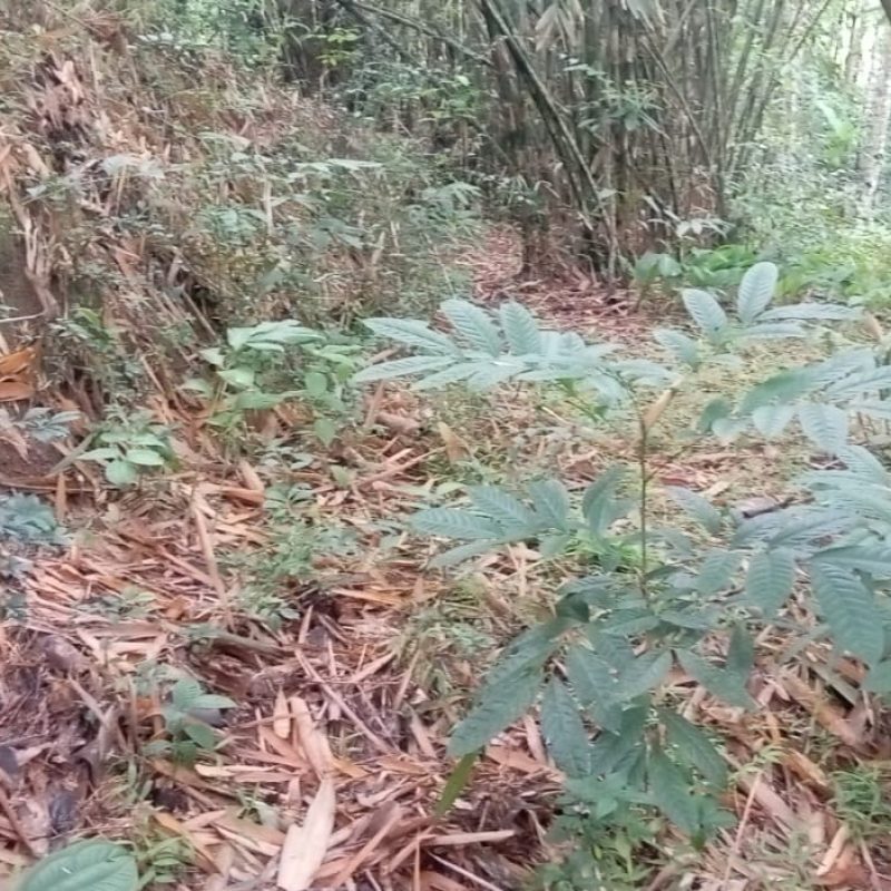 WhatsApp Image 2025-12-11 at 08.49.39