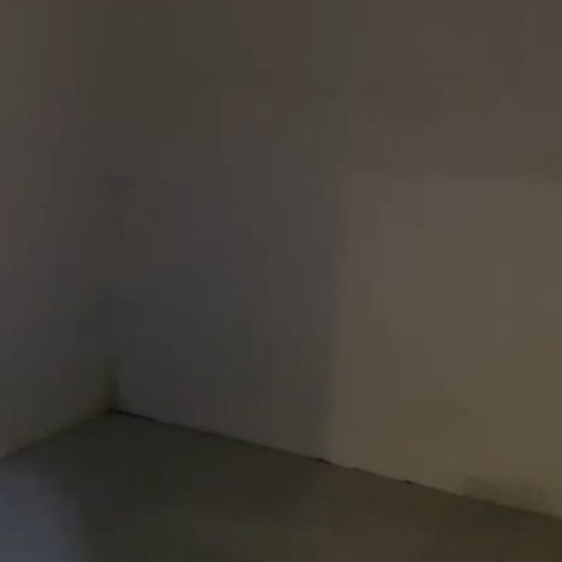 WhatsApp Image 2026-01-19 at 10.35.14